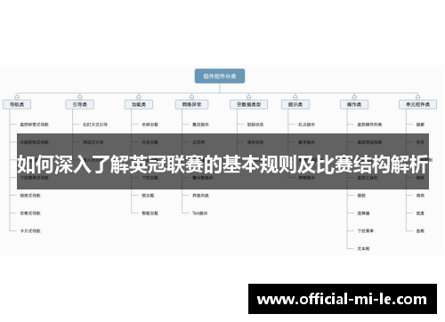 如何深入了解英冠联赛的基本规则及比赛结构解析 如何深入了解英冠联赛的基本规则及比赛结构解析