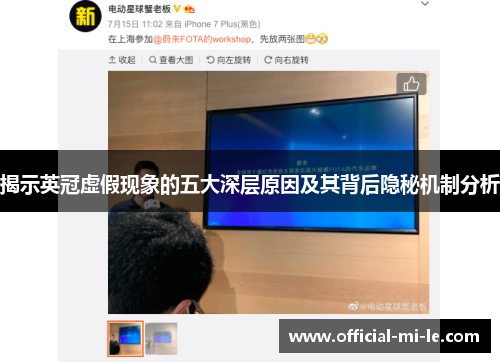 揭示英冠虚假现象的五大深层原因及其背后隐秘机制分析 揭示英冠虚假现象的五大深层原因及其背后隐秘机制分析