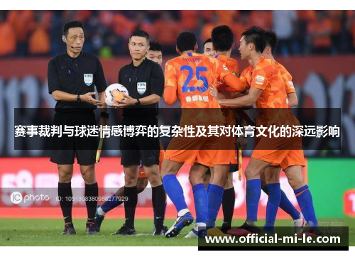 赛事裁判与球迷情感博弈的复杂性及其对体育文化的深远影响