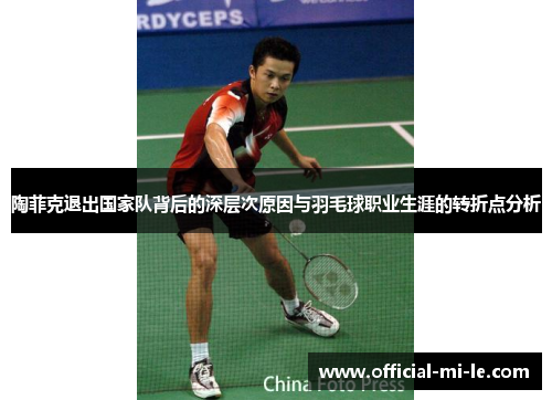 陶菲克退出国家队背后的深层次原因与羽毛球职业生涯的转折点分析