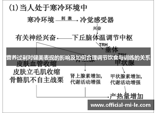 营养过剩对健美表现的影响及如何合理调节饮食与训练的关系
