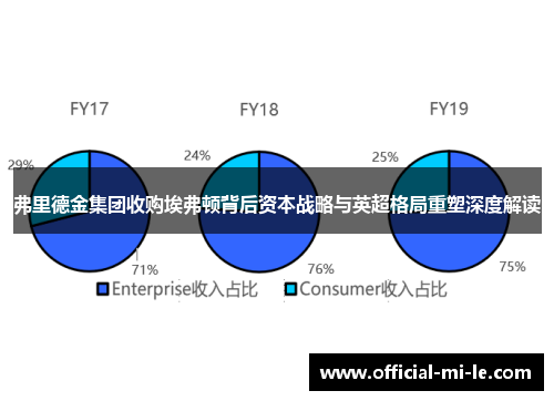 弗里德金集团收购埃弗顿背后资本战略与英超格局重塑深度解读